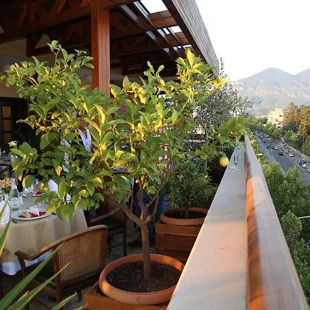 فيكتوريا تيرانا