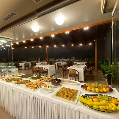 酒店 地拉那维多利亚酒店