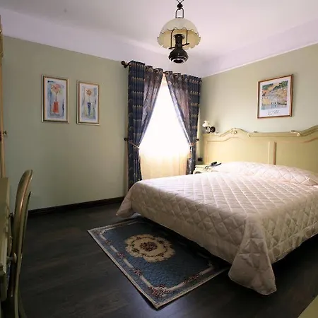 地拉那维多利亚酒店 酒店 地拉那