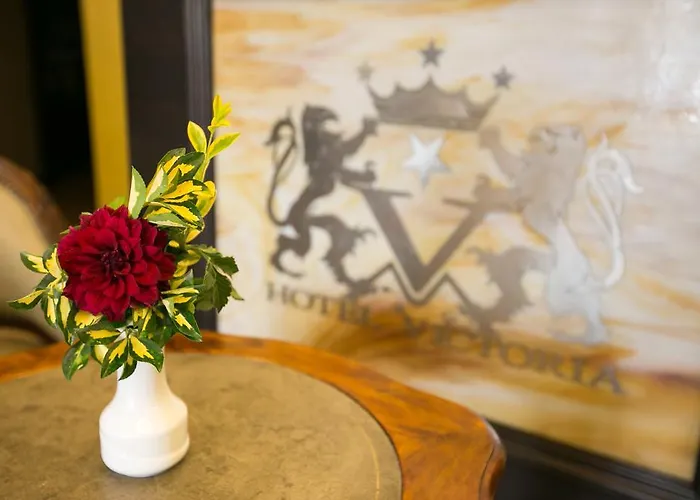 فيكتوريا فندق